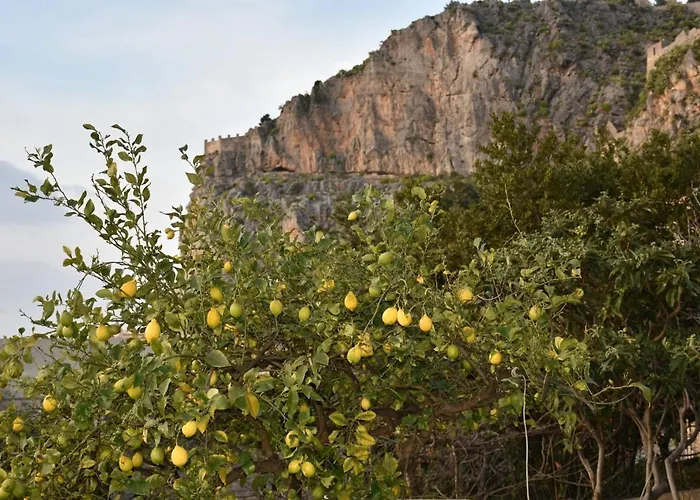 Il Mulino